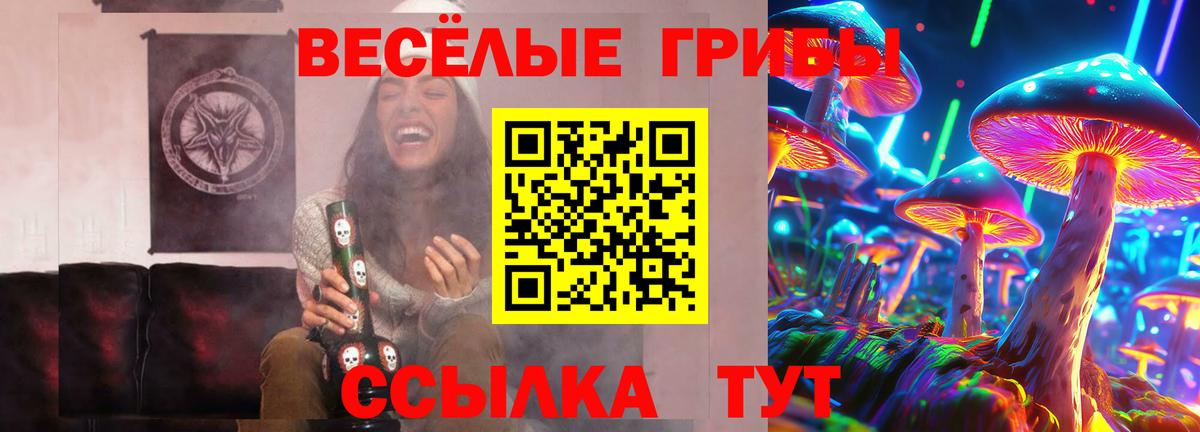 Псилоцибиновые грибы Psilocybine cubensis Обь